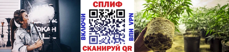 сколько стоит Выборг omg ONION Бошки марихуана White Widow